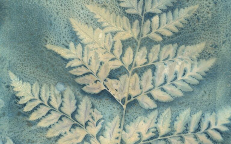 Botanical Monoprinting