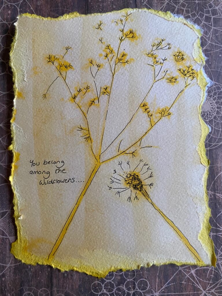 image0 (11)